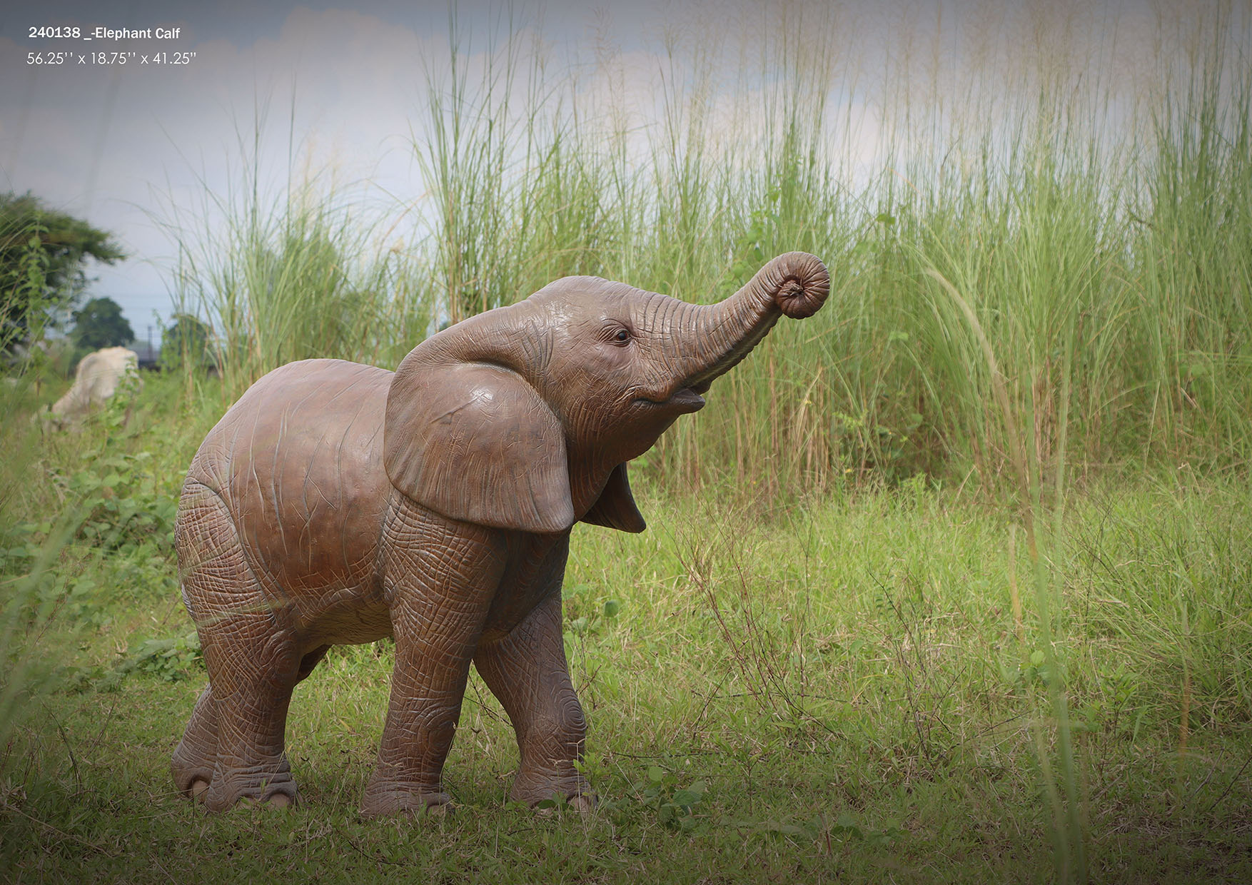 240138 - Elephant Calf